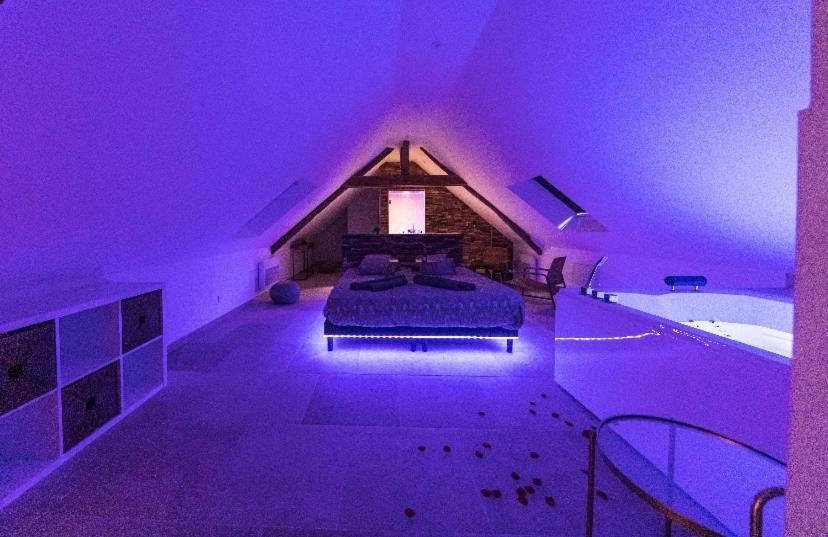 L'Evasion-Spa-Hammam-Sauna Illimite - 2 A 4 Pers Saint-Cyr-sur-Loire Εξωτερικό φωτογραφία