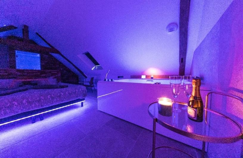 L'Evasion-Spa-Hammam-Sauna Illimite - 2 A 4 Pers Saint-Cyr-sur-Loire Εξωτερικό φωτογραφία